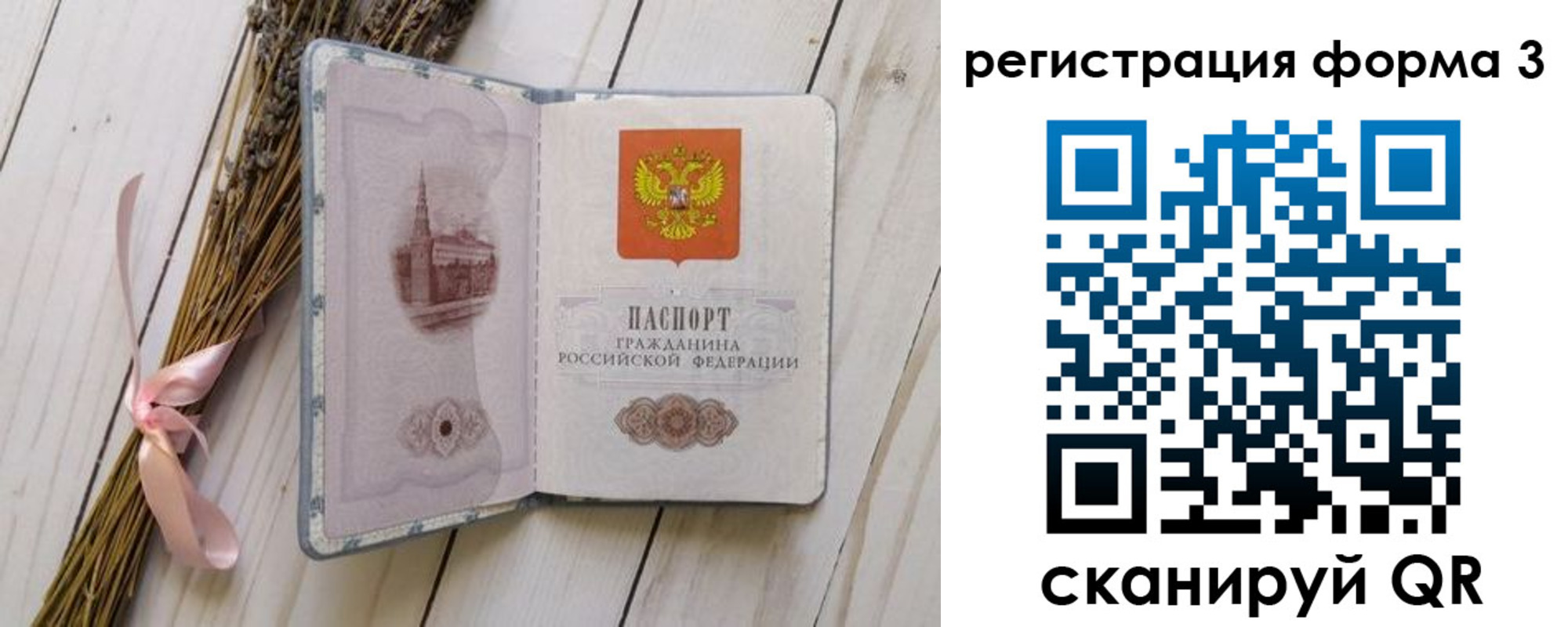 прописка поиск в Шебекино